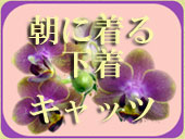 ī����벼�塡����å�