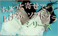 ����äȴ󤻤ƾ夲�륽�եȥ֥饷�꡼��