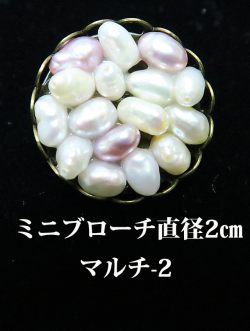 8311ミニブローチマルチ-2