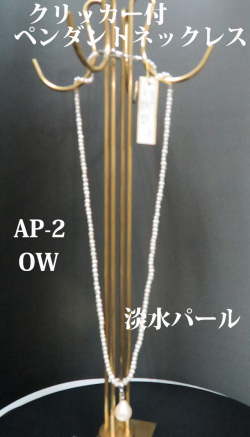 ap-2-1