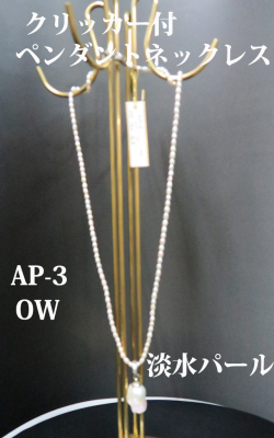 ap-3-1