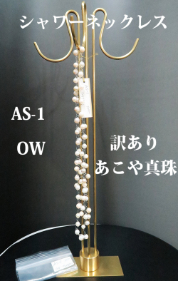 as-1